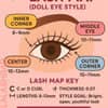 Doll Eye Lash Guide: How-To for Perfectly Fluttery Lashes