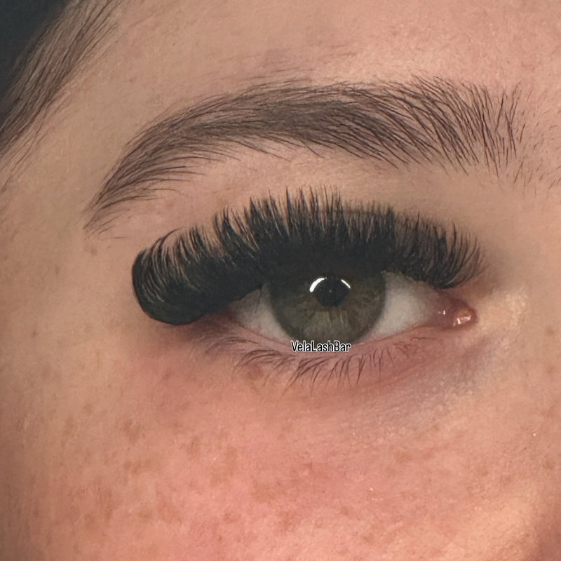 Volume Lashes